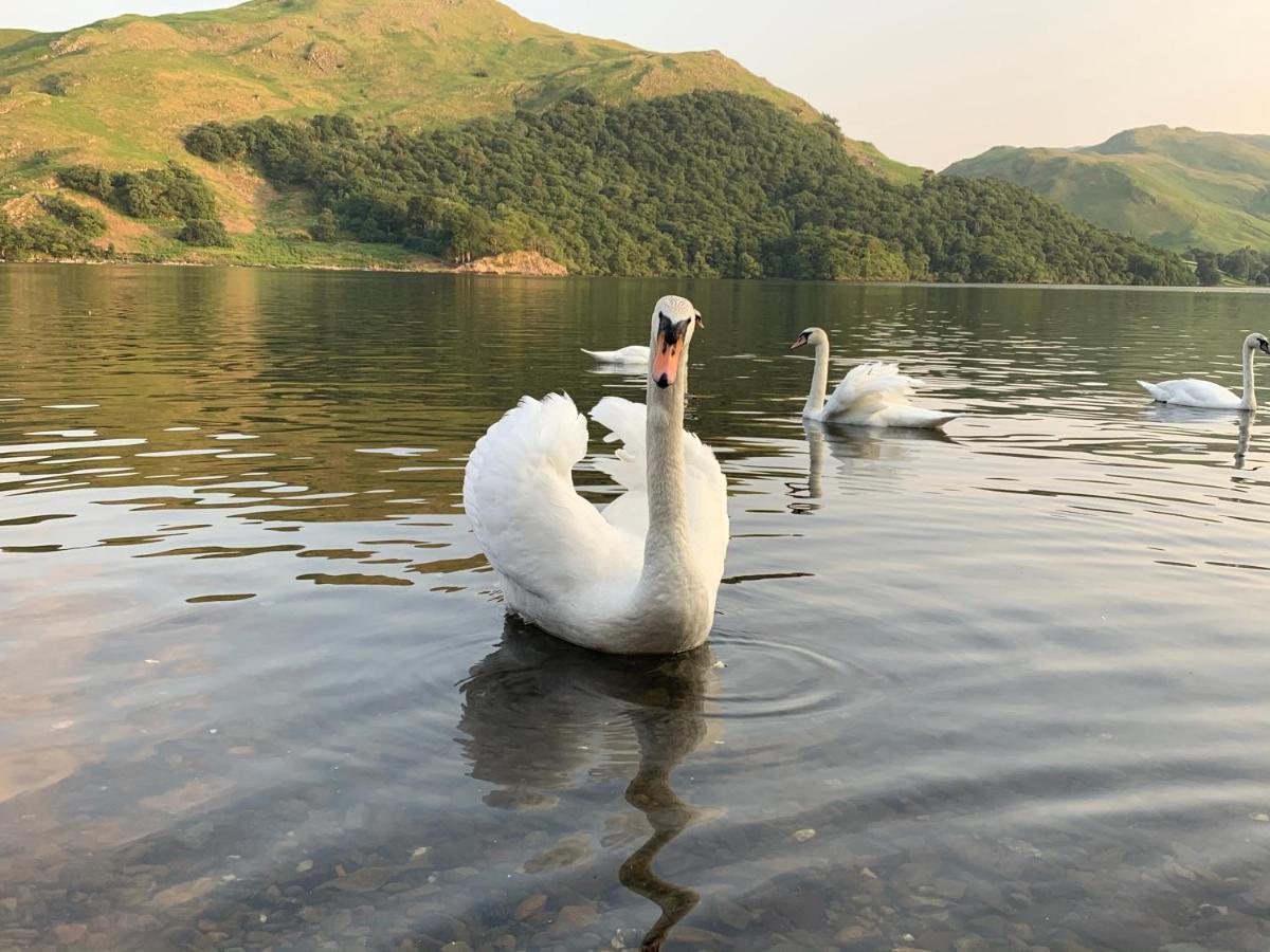 The Ullswater View Pensión Watermillock Exterior foto